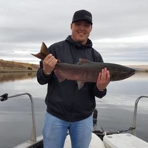 Meet your Posher, Gunner